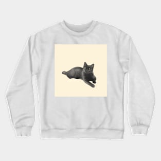 Colin the Cat Crewneck Sweatshirt